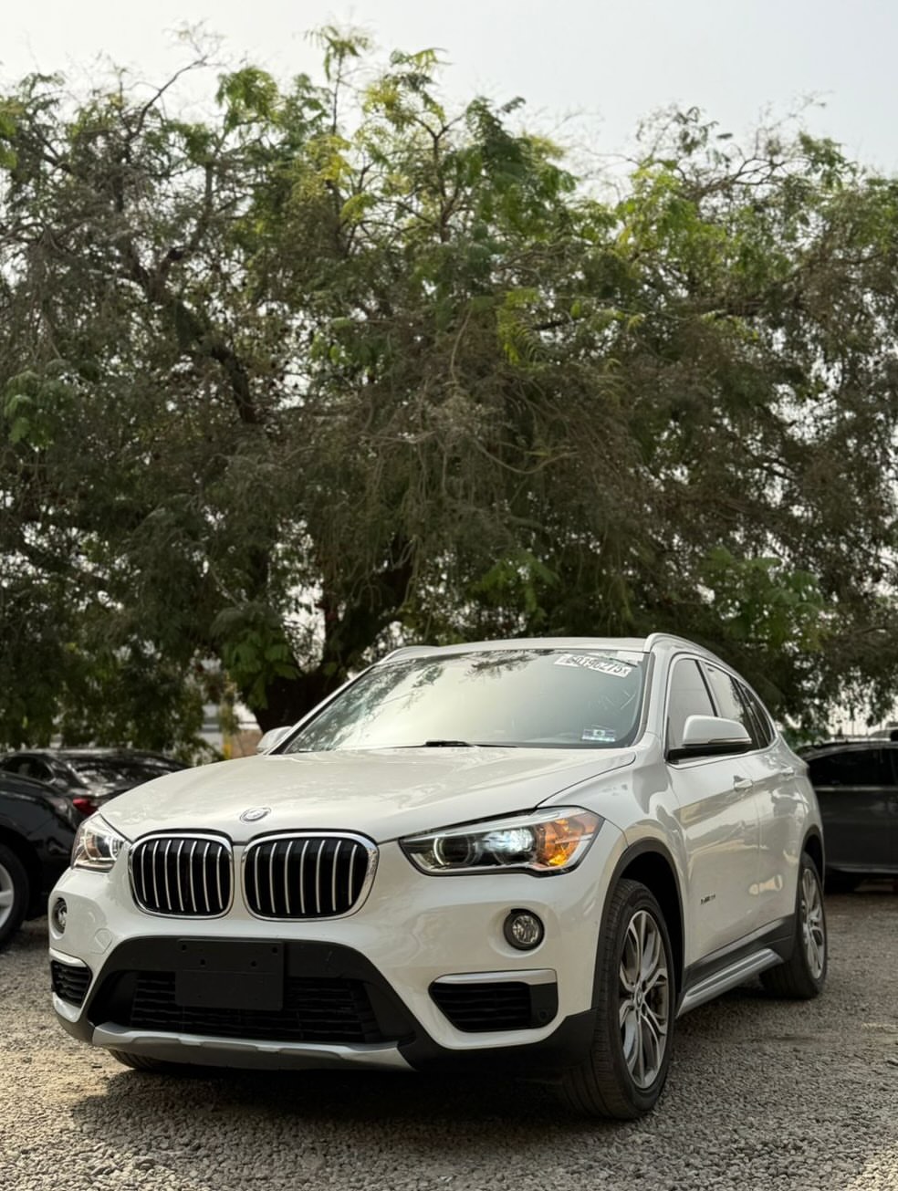Luxury SUV, Duty-Cleared & Ready: 2017 BMW X1
