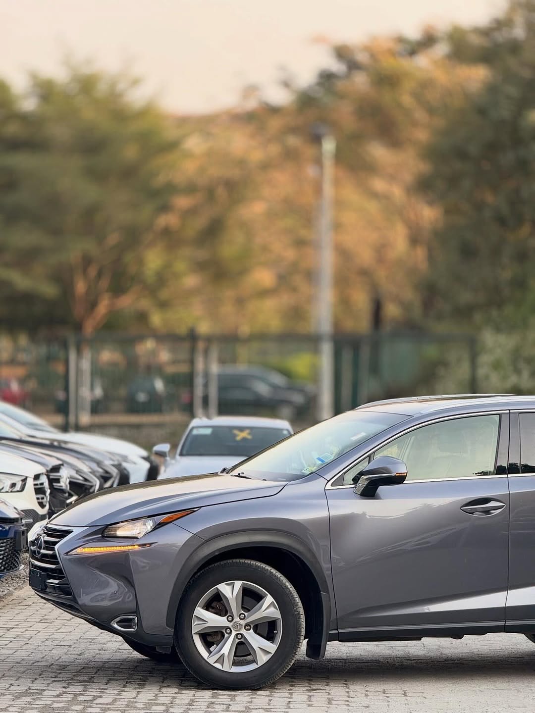 2017 Lexus NX200t: Pristine & Duty-Paid