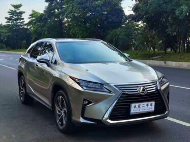 Luxury AWD Lexus RX: Doorstep Delivery Included