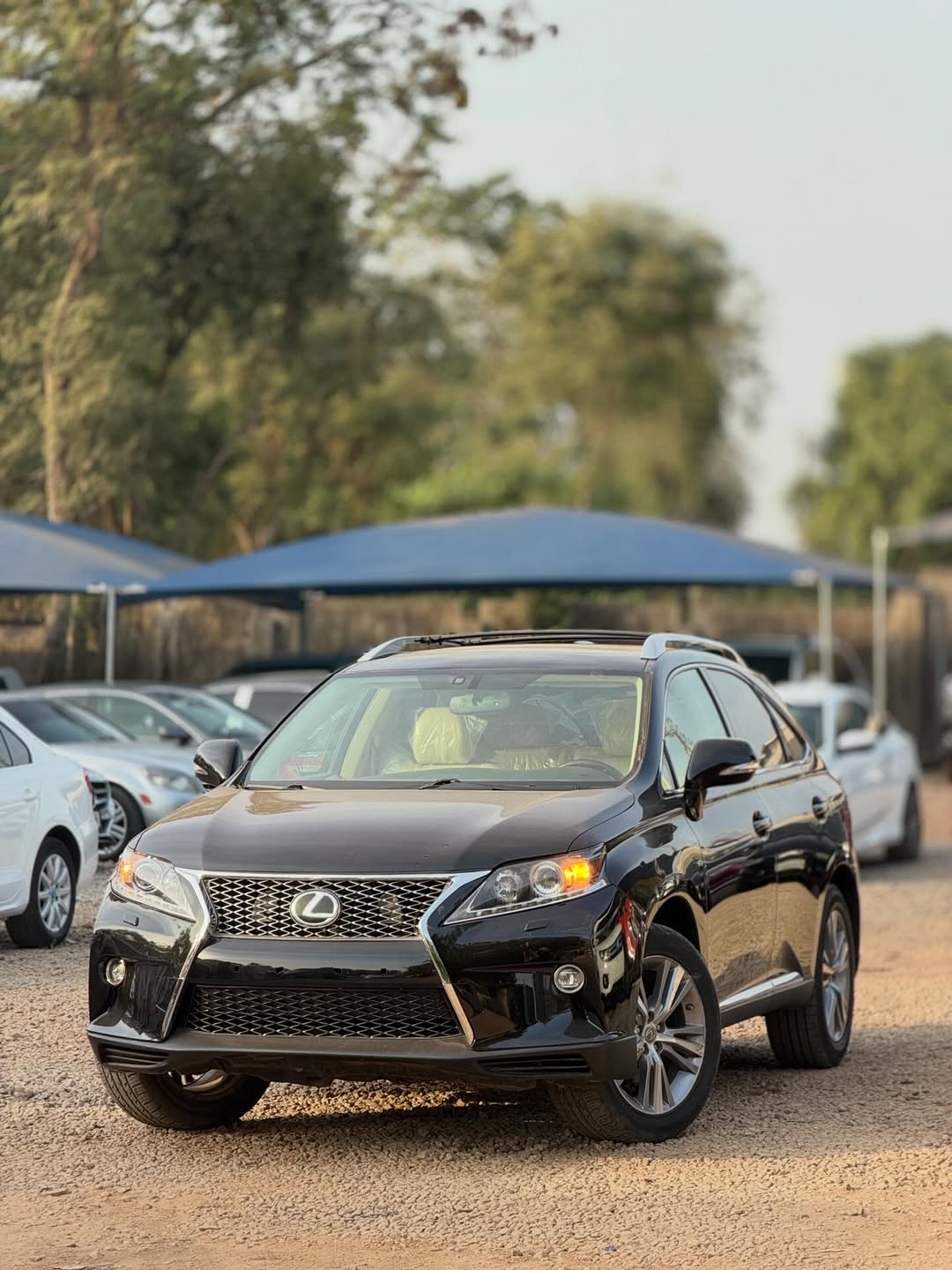 Immaculate 2014 Lexus RX350: Luxury Awaits