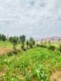 Build Your Dream on Kigali’s Prime Kinyinya Plot