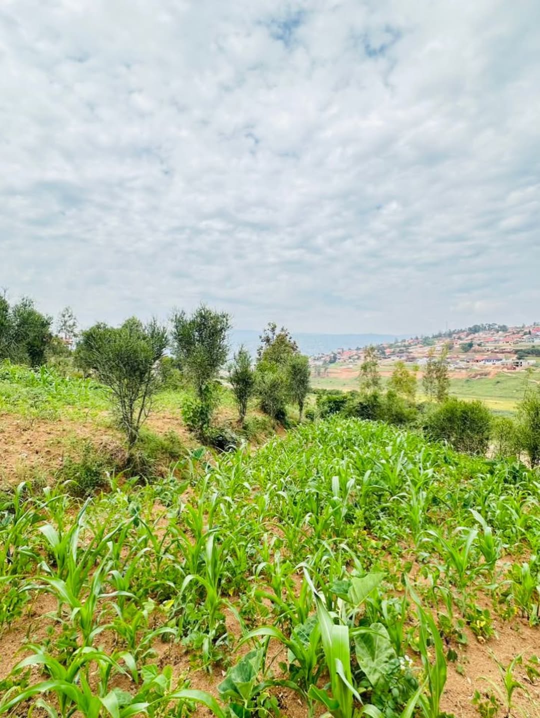 Build Your Dream on Kigali’s Prime Kinyinya Plot