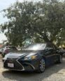 Luxury Meets Tech: 2019 Lexus ES350