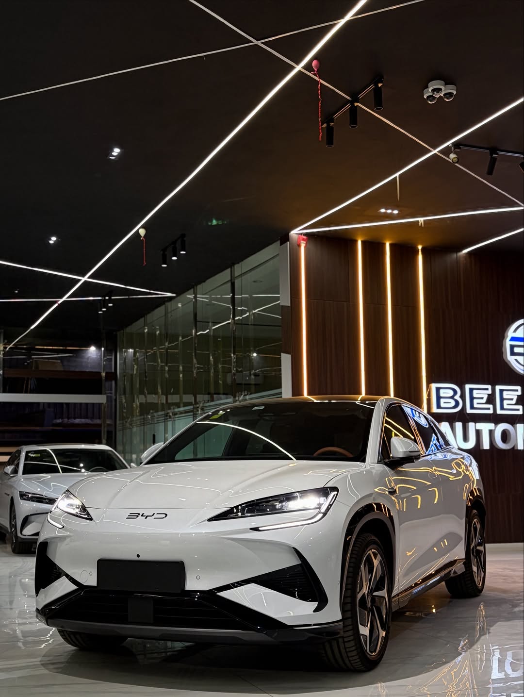 2025 BYD Sealion 07: Electrify Your Drive