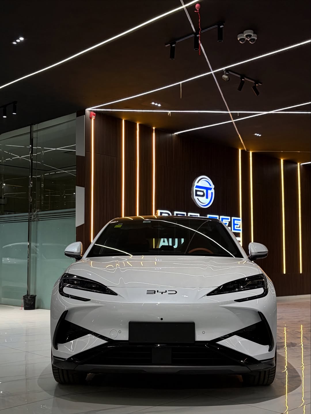 2025 BYD Sealion 07: Electrify Your Drive