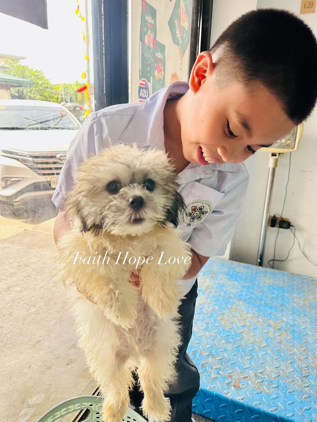 Shih Tzu Puppies: Your New Best Friend Awaits!