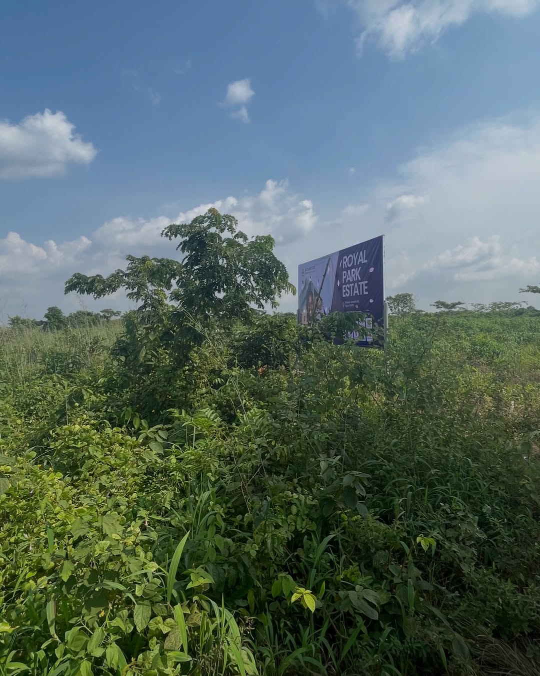 Royal Park: Your 1.6M Gateway to Generational Wealth