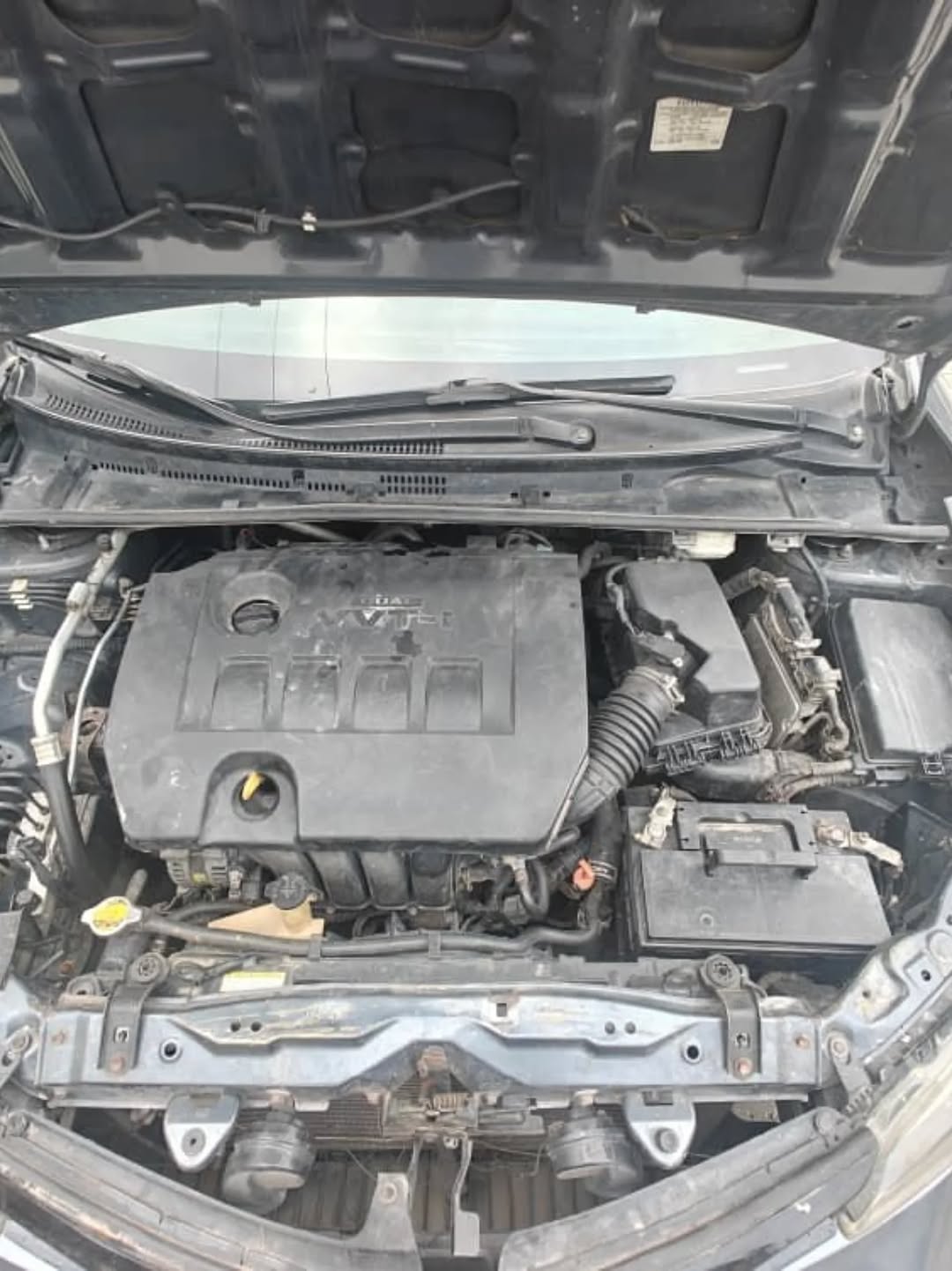 2014 Corolla, 2019 Look: First Owner, Untampered Engine