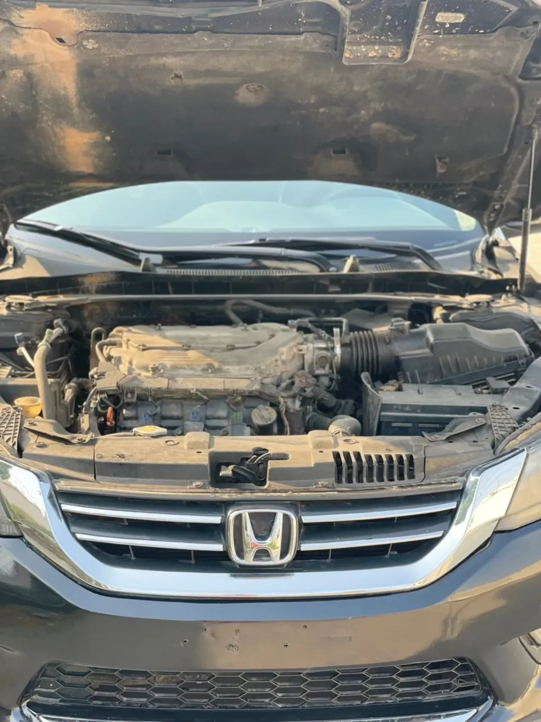 2013 Honda Accord: Untouched & Ready to Drive