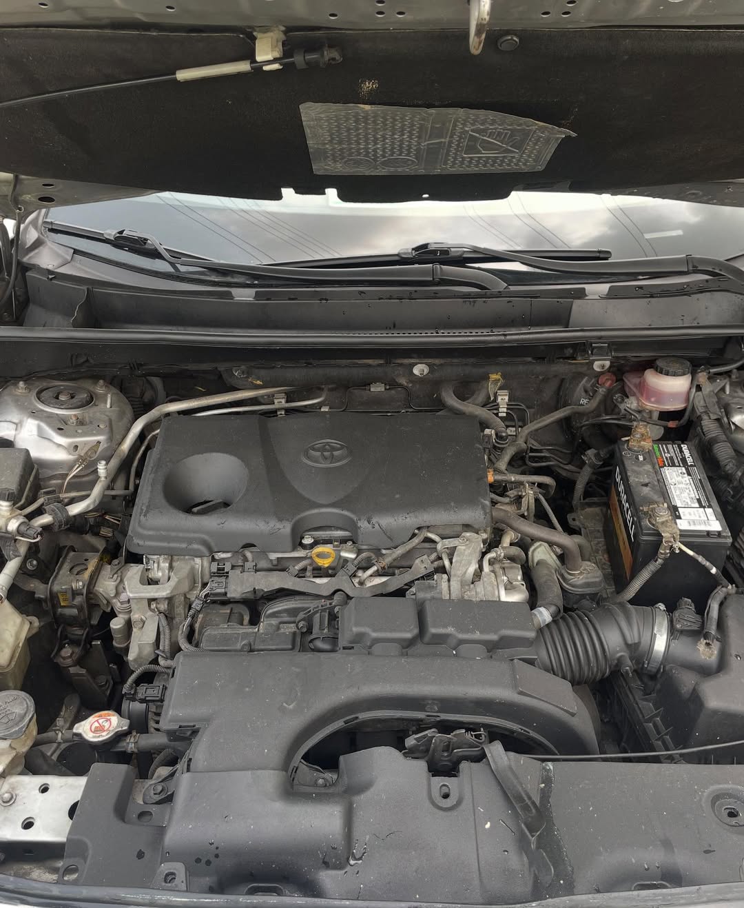 2019 Toyota RAV4 XLE AWD: Sunroof & Tech, 45M Naira