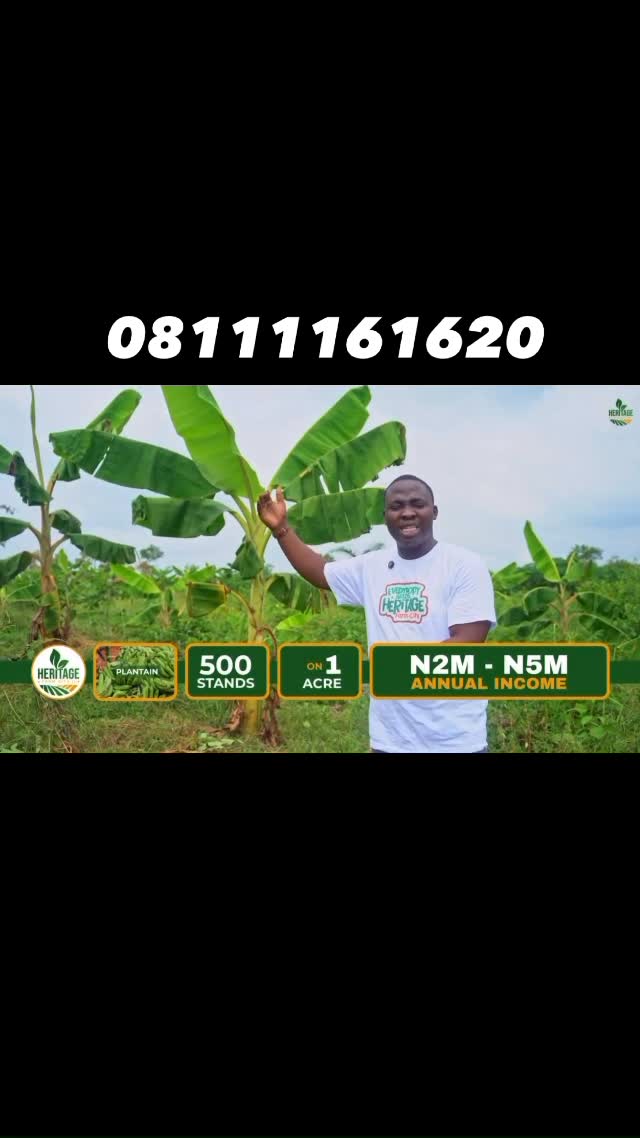 Secure Your 10-Year Wealth Harvest Today