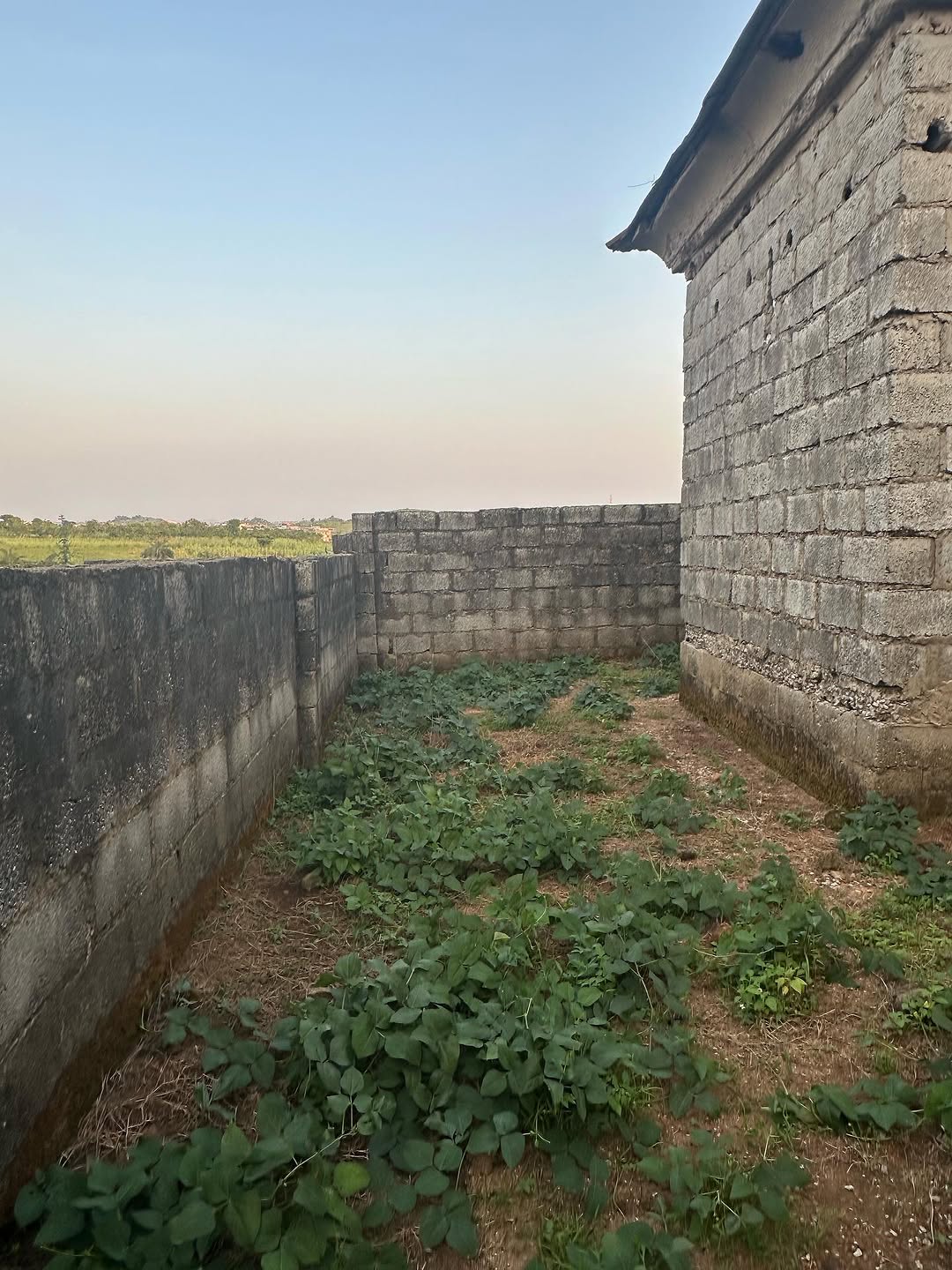 Brand New 5-Bedroom Palace in Serene Kyami