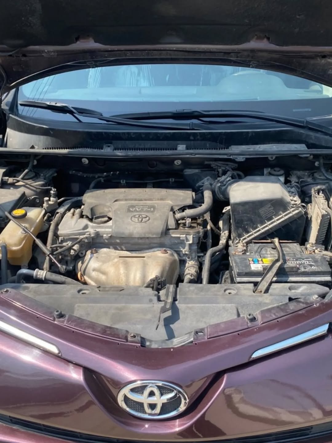 Unregistered 2017 Toyota RAV4: Perfect & Priced to Sell