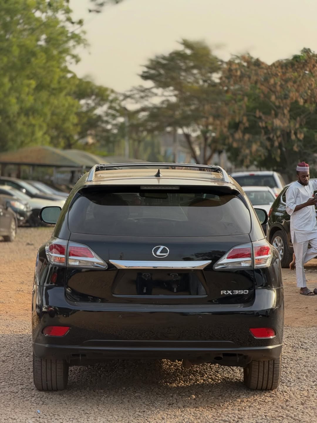 Immaculate 2014 Lexus RX350: Luxury Awaits