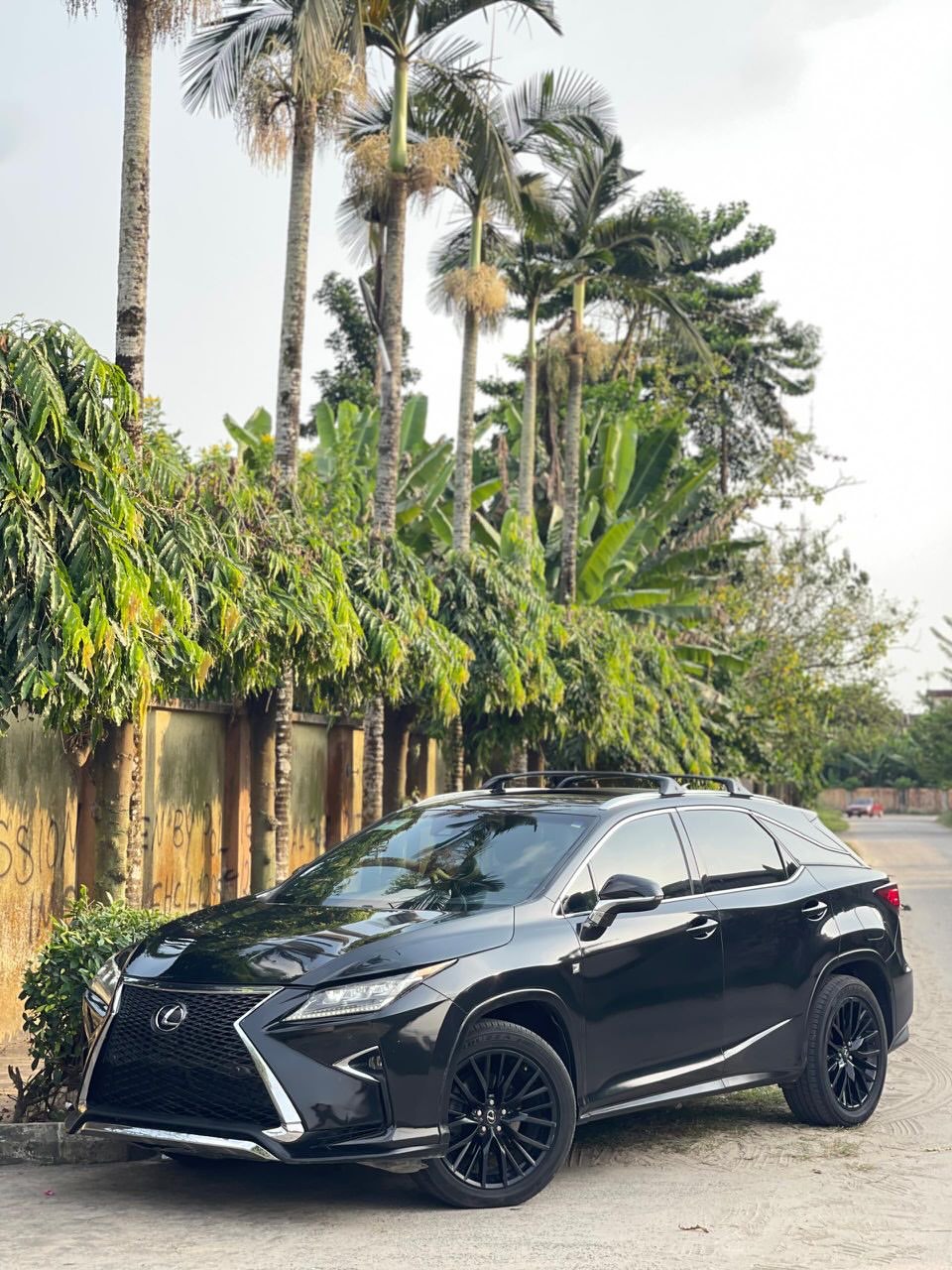 Like-New Lexus RX350 F-Sport: Your 1-Month Guarantee