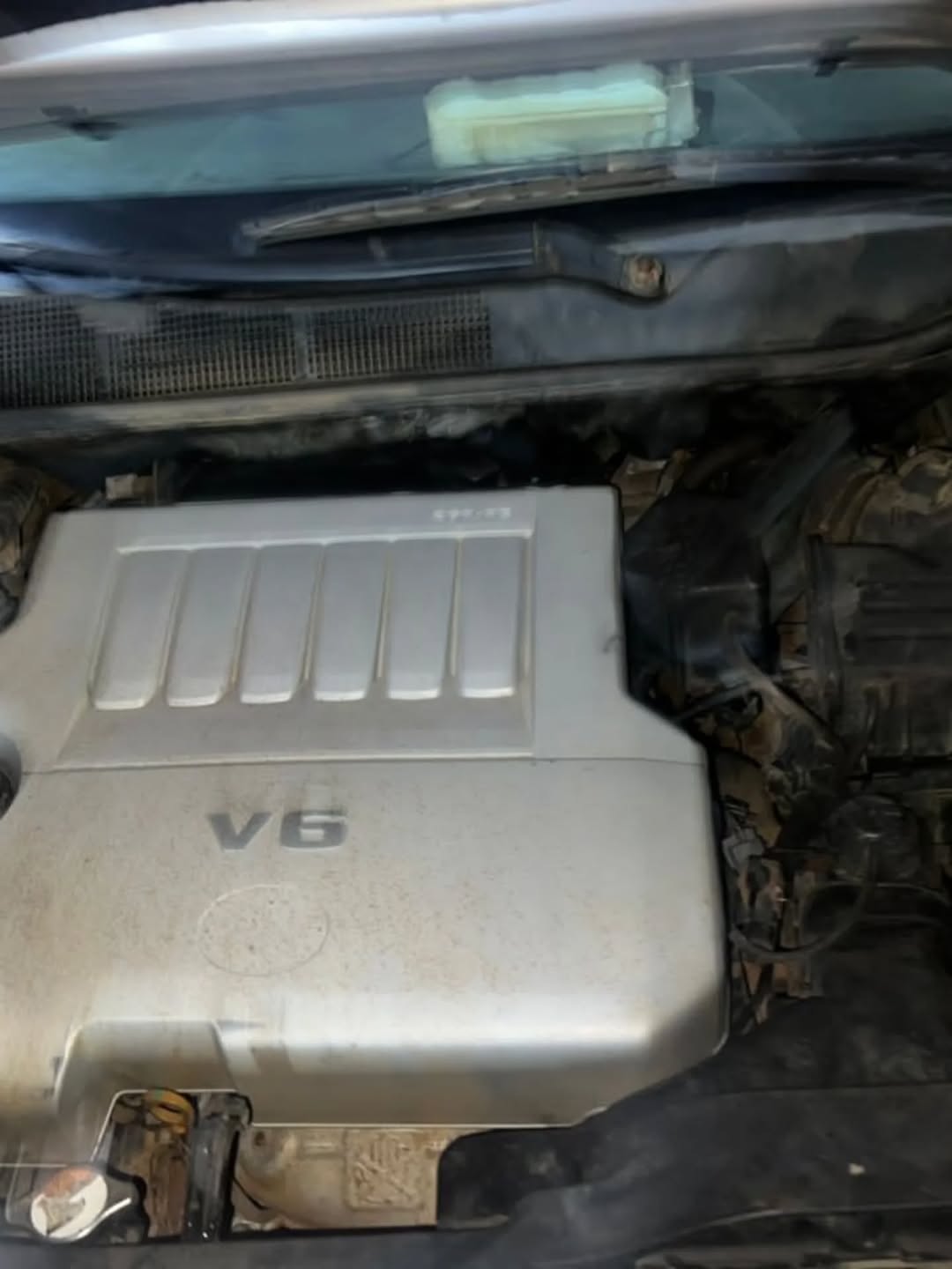 2011 Venza V6: Panoramic Roof, Thumb Start, 9.9m