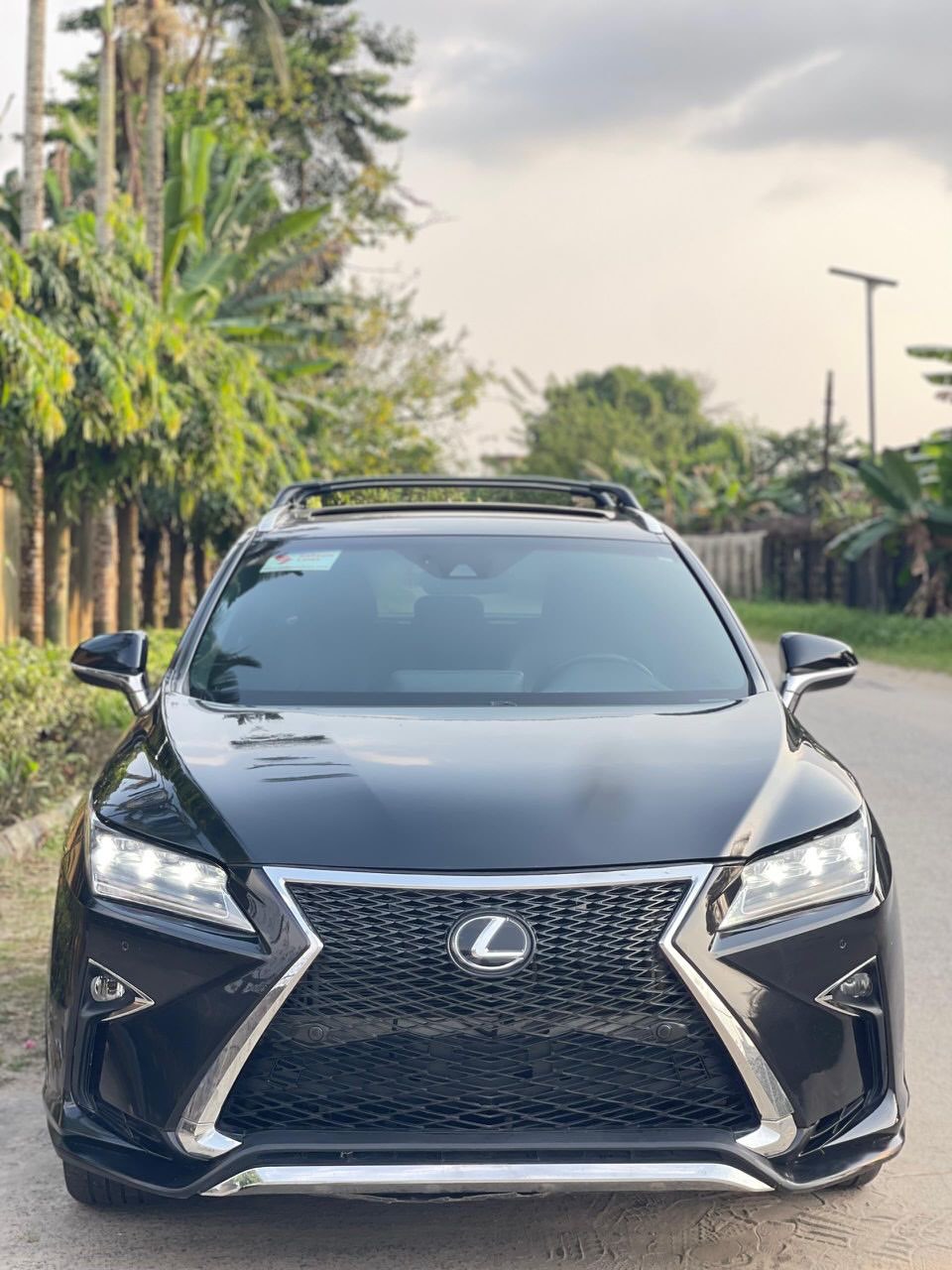 Like-New Lexus RX350 F-Sport: Your 1-Month Guarantee