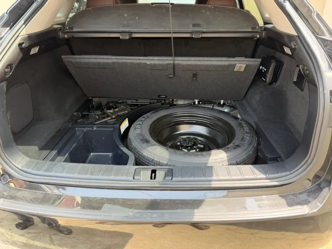 Luxury Lexus RX350: Pano Roof & Accident-Free