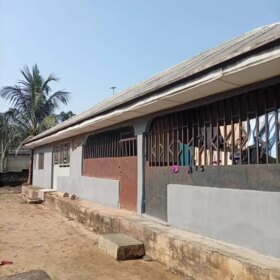 3804907887039122274_img