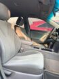 2009 Toyota Camry: Reliable & Affordable Luxury