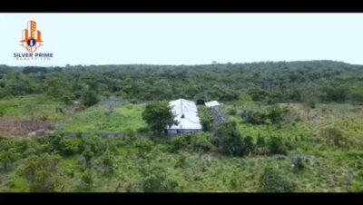 3818554053727138930_preview