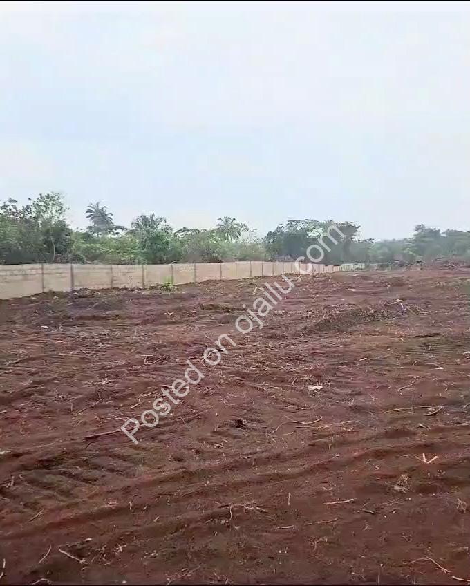 Festive Plots: Secure Your Future in Asaba’s Rising Gem