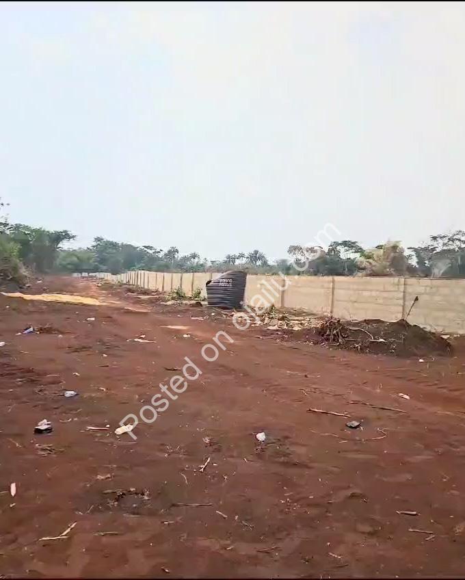 Festive Plots: Secure Your Future in Asaba’s Rising Gem