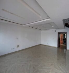 3826458950061808781_img_1