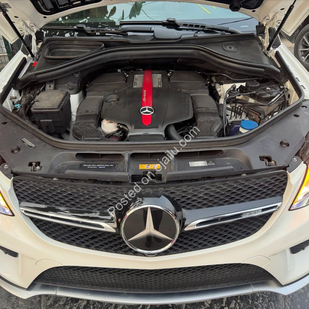 AMG Power Meets Luxury: 2018 GLE43