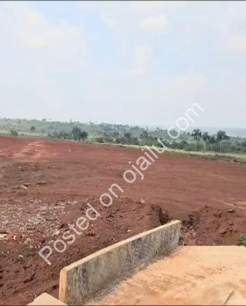 Christmas Joy: Own Prime Landview City Asaba Now!