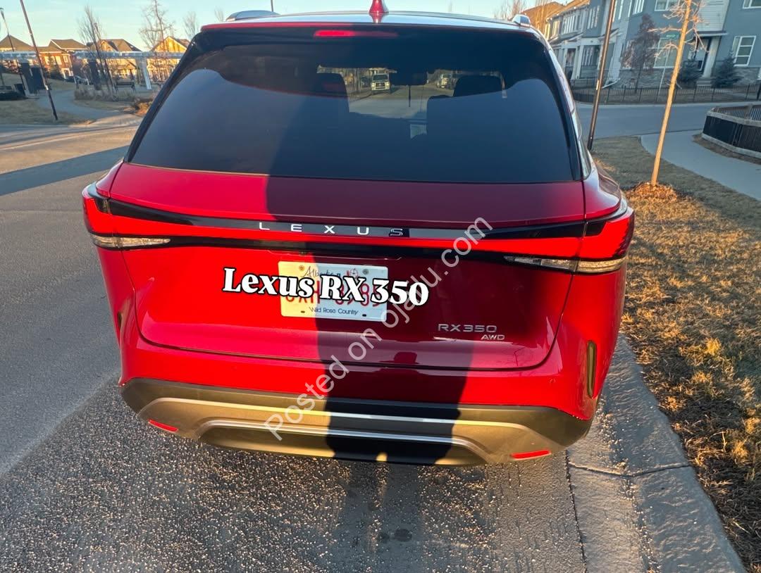 Sweet Red Lexus: Your Valentine Luxury Awaits