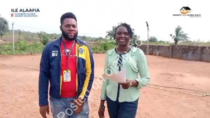 Build Your Dream on Prime Wasimi Land