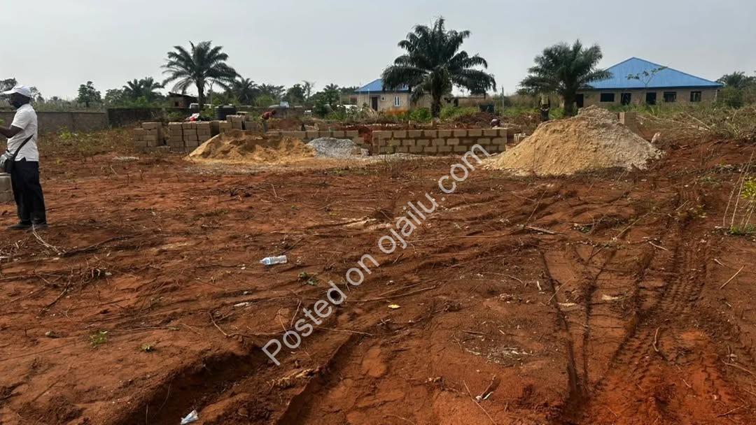 Build Your Dream on Prime Wasimi Land