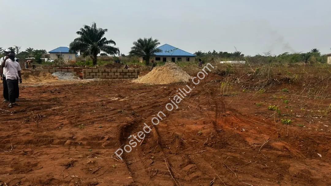 Build Your Dream on Prime Wasimi Land