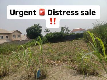 3838167578175146346_img