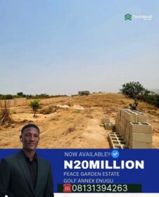 3845063927721912135_img_0