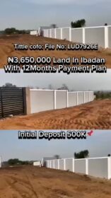 3845376914471275703_preview