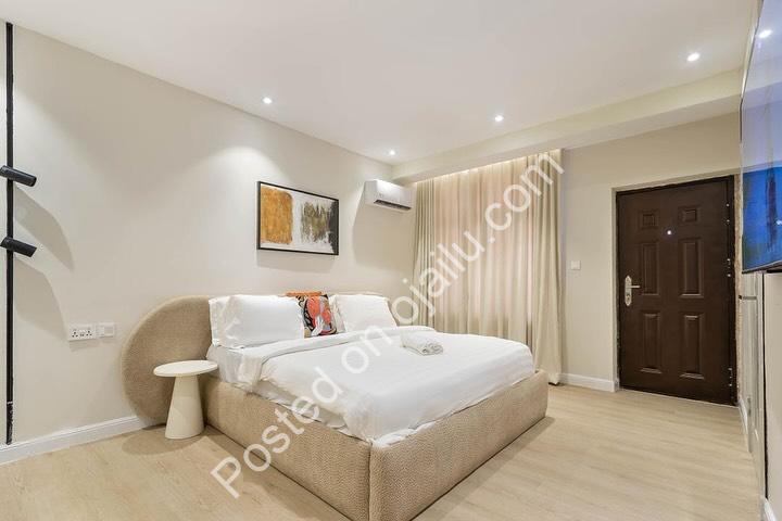 Luxury 2-Bed with Gym & 24/7 Power in Lekki