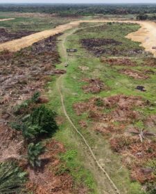 3853980941824074776_img_6