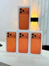 3854058301315378177_img