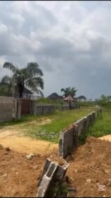 3856239729314651735_preview