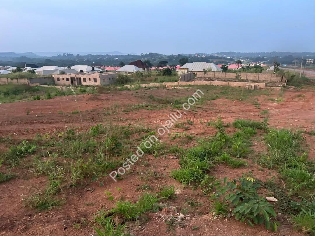 Hilltop Haven: Build Your Dream on Government-Allocated Land