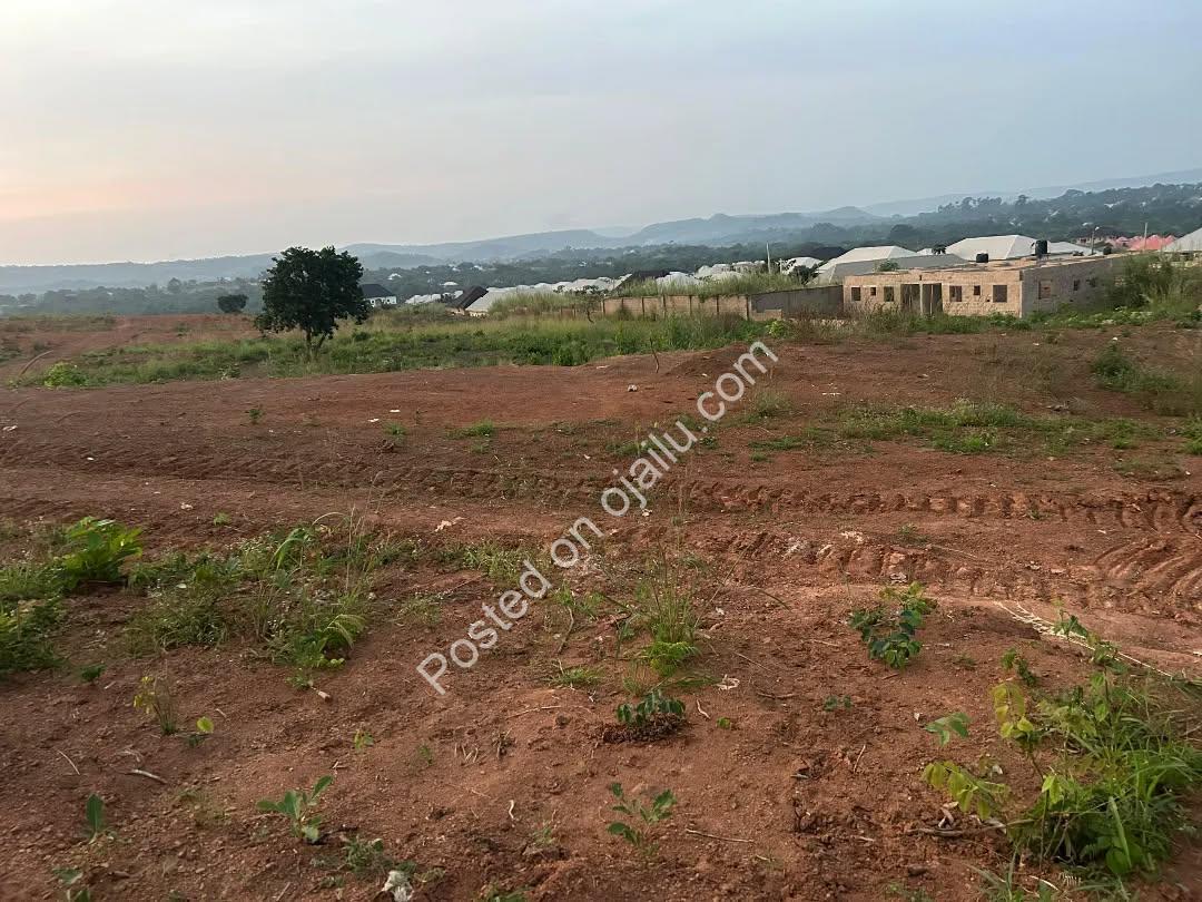 Hilltop Haven: Build Your Dream on Government-Allocated Land