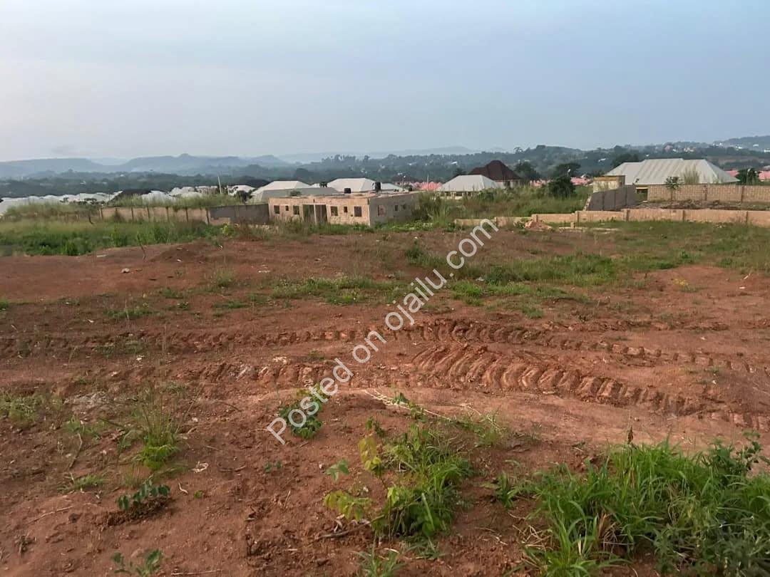 Hilltop Haven: Build Your Dream on Government-Allocated Land