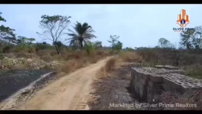 3861266185568717550_preview