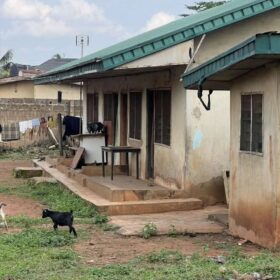 77y5nyL 1ZBfyObTglvYCKkeC0hbi8=