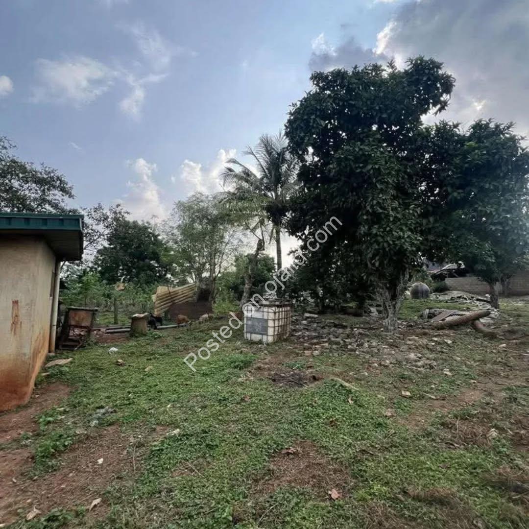 6-Acre Mixed-Use Gem in Prime Ibadan Location