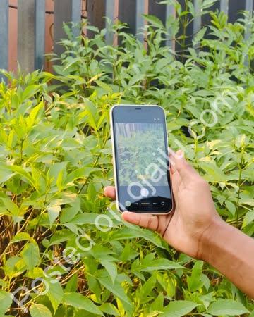 Unlock Premium iPhone 11 64GB: 100% Battery, Fresh & Fully Certified!