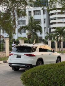 2019 GLE 350: Luxury SUV