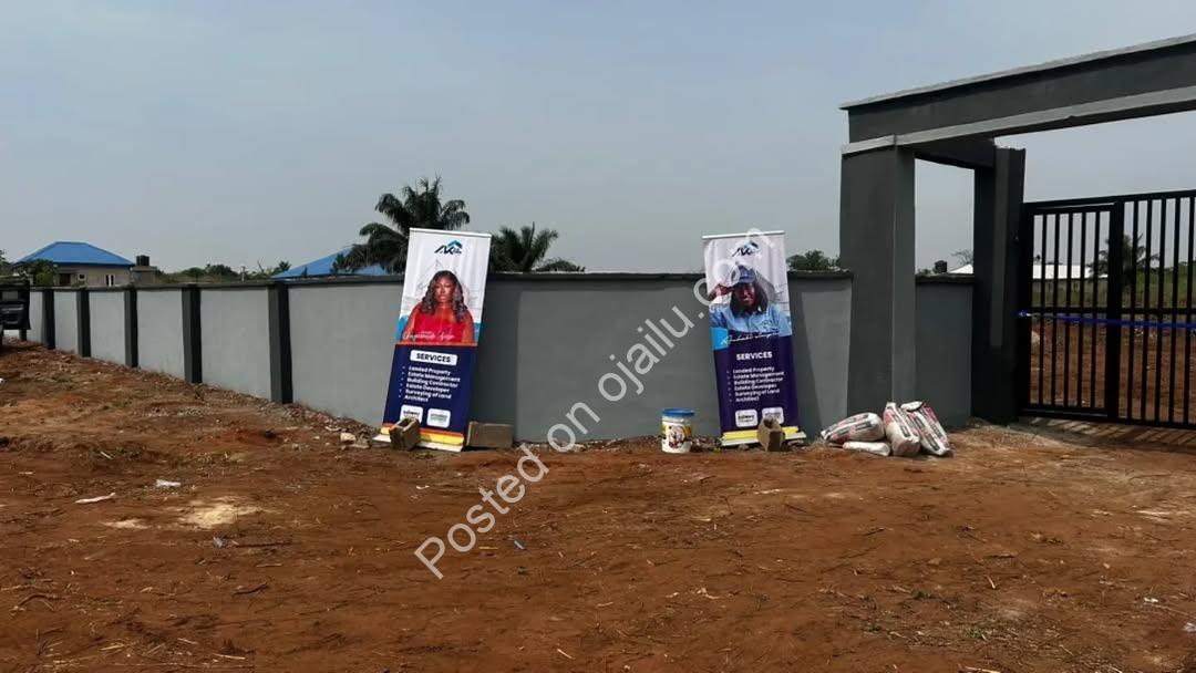 Build Your Dream on Prime Wasimi Land